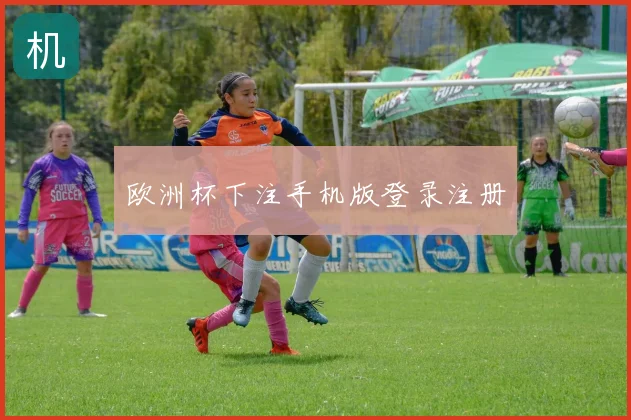 欧洲杯下注手机版登录注册